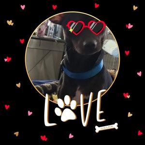 Meet your Posher, Mary